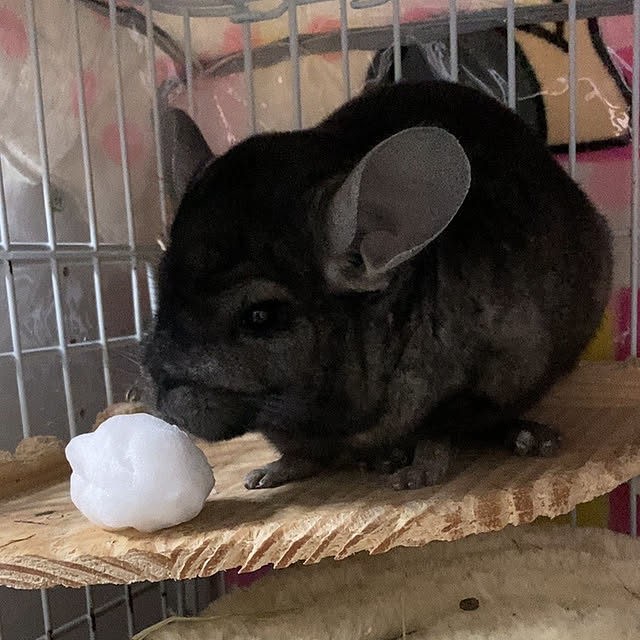 milkさんの実例写真