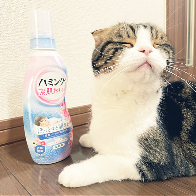 tansukeさんの実例写真