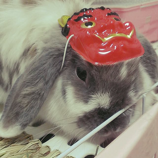 COROLさんの実例写真