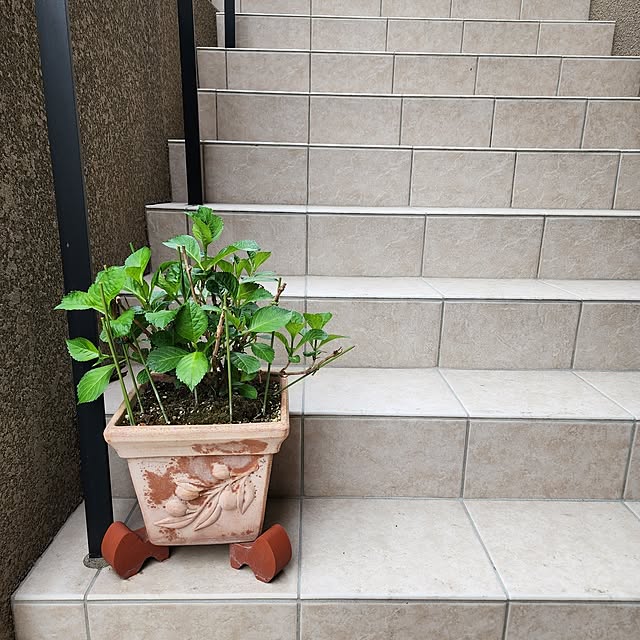 75さんの実例写真