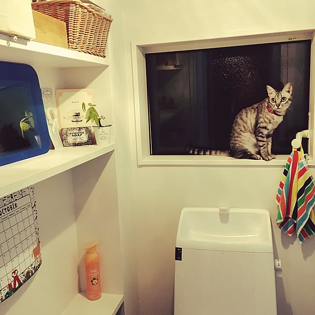 RinRioさんの実例写真