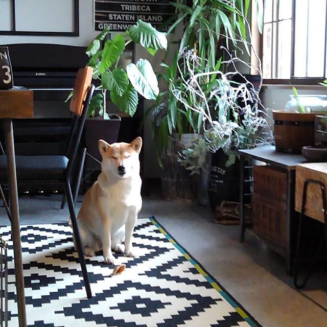 kさんの実例写真