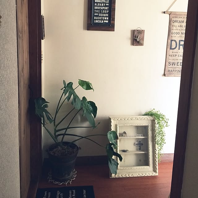 Makoさんの実例写真