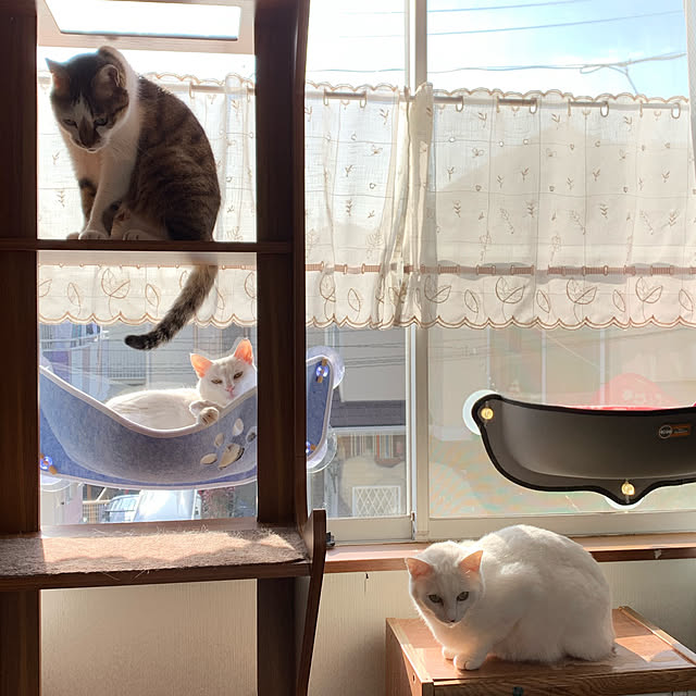 kuntaさんの実例写真