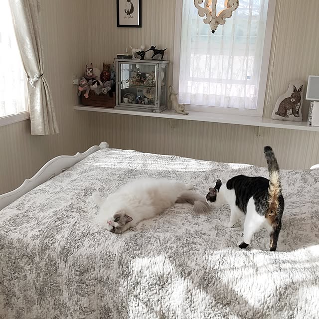 yuchiさんの実例写真