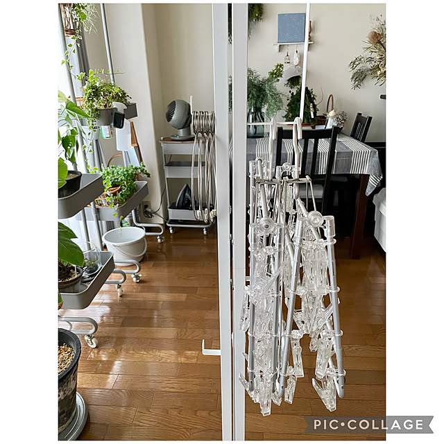 yasuyo66さんの部屋