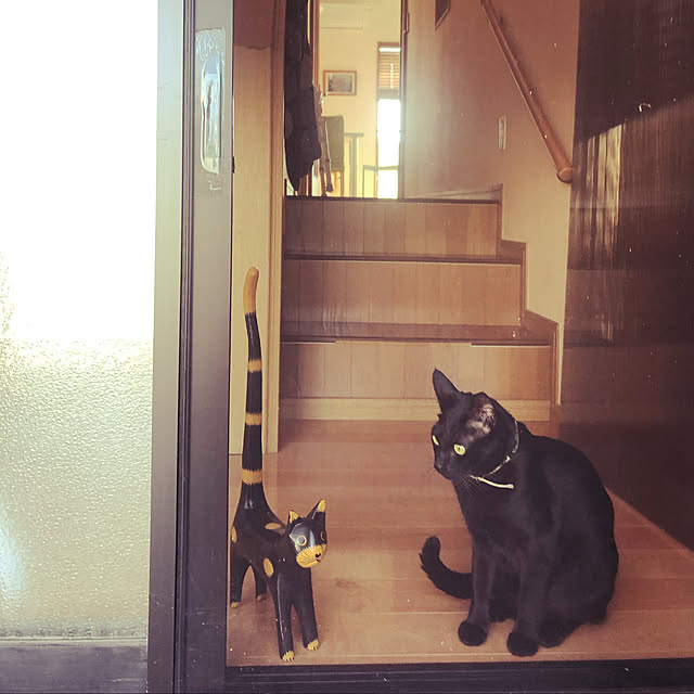 jijiさんの実例写真