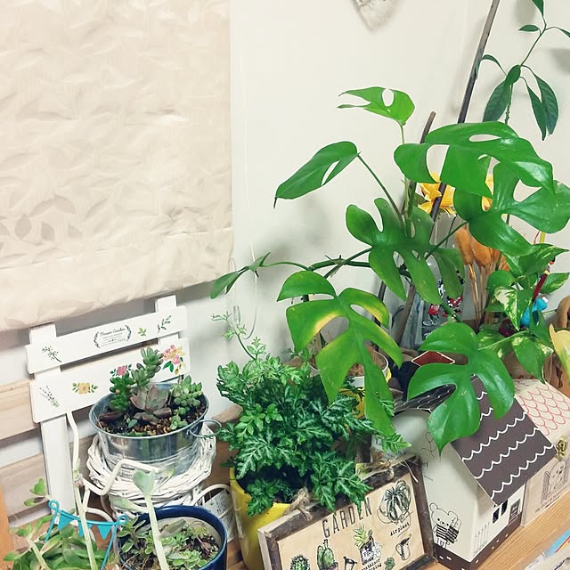 yukikoさんの実例写真