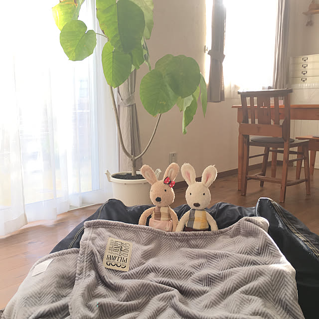 mami3さんの実例写真