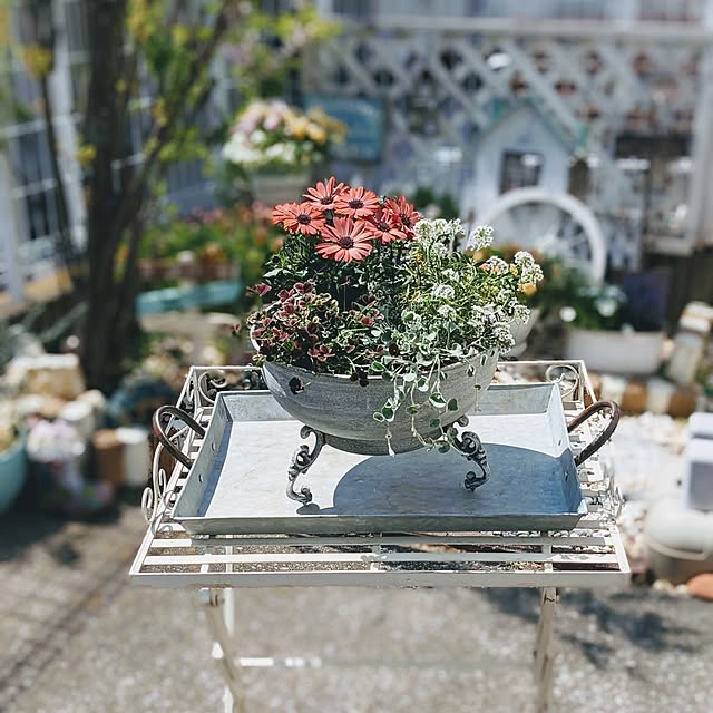 purpureさんの部屋