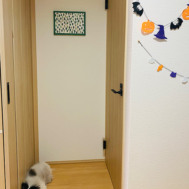 chan-homeさんの部屋
