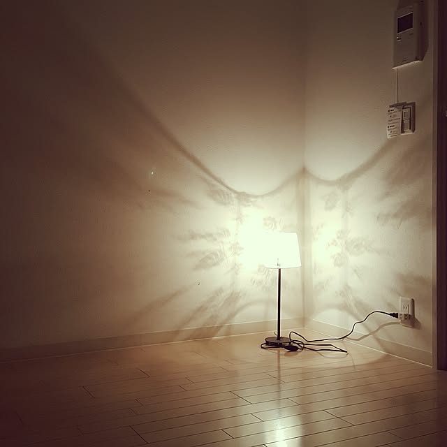 Singing_Dogさんの実例写真