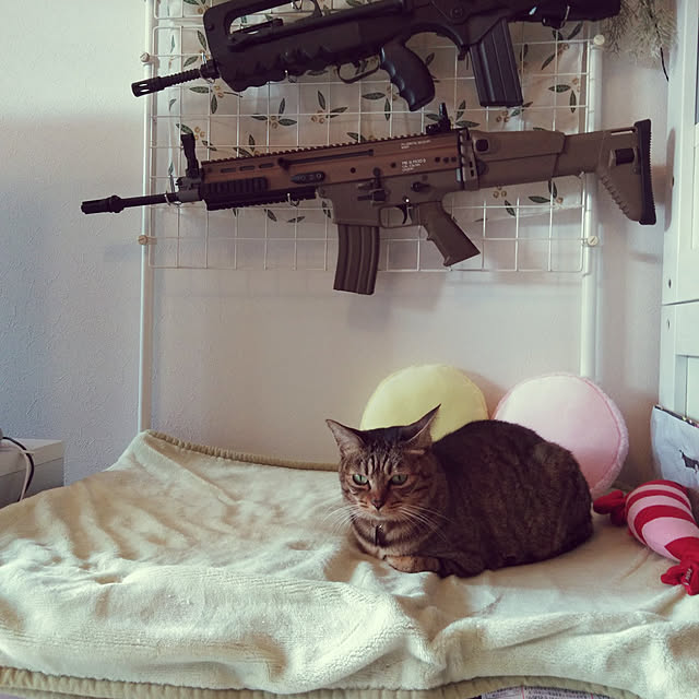 futukoさんの実例写真