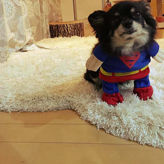 cocoさんの実例写真