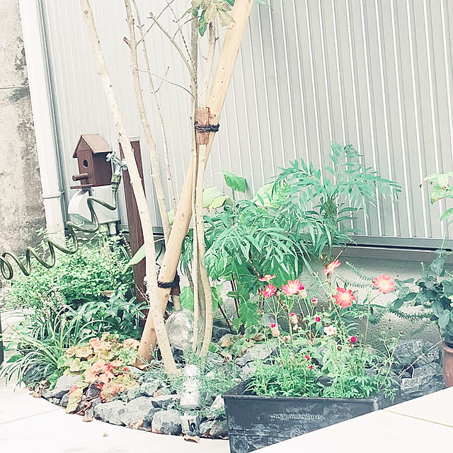 shienaさんの実例写真