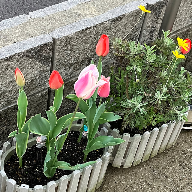katuさんの部屋
