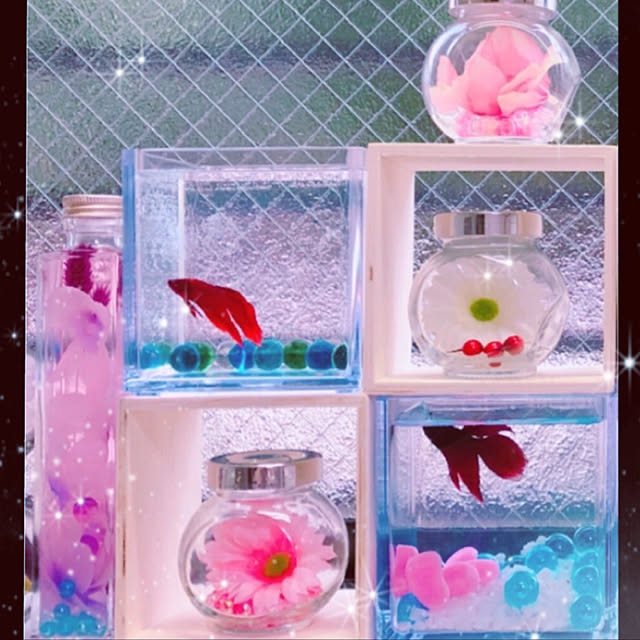 koyuriさんの実例写真