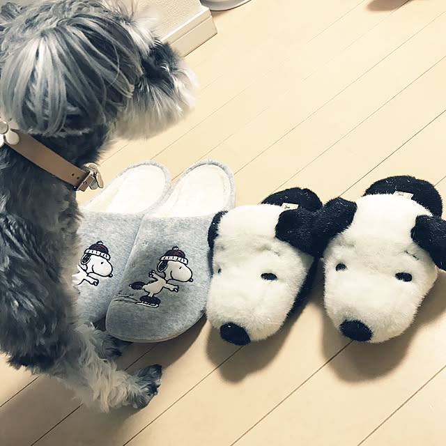 tamaeさんの実例写真