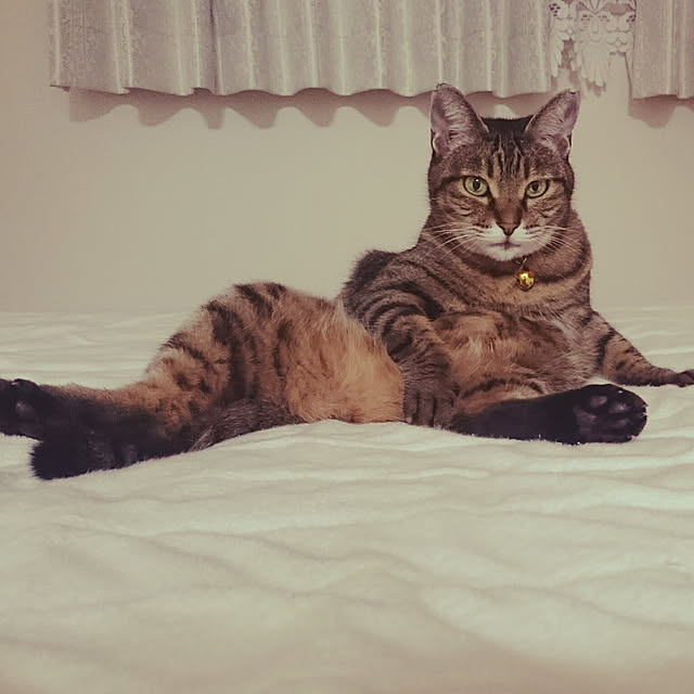 lilyさんの実例写真