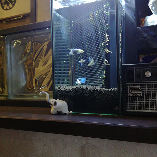 hibanaさんの実例写真
