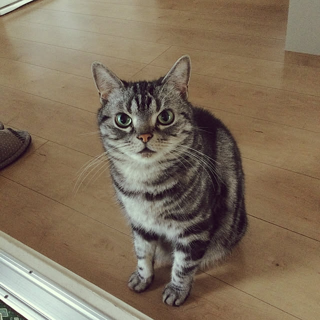 richanさんの実例写真