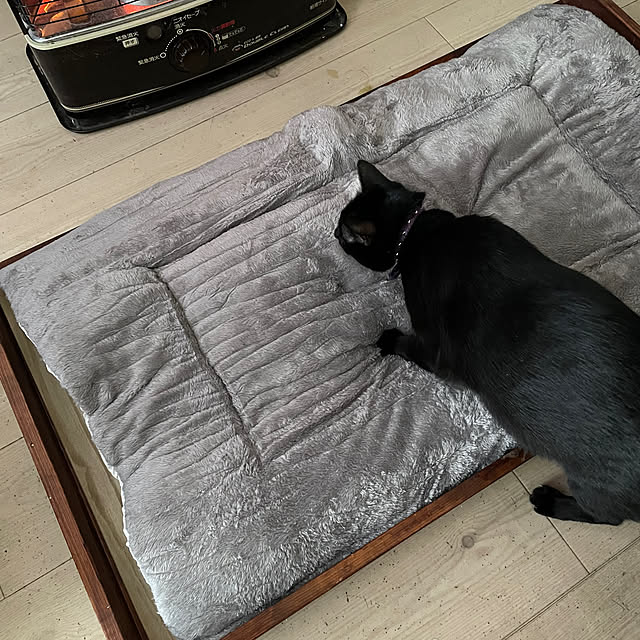 coolcats0528さんの部屋