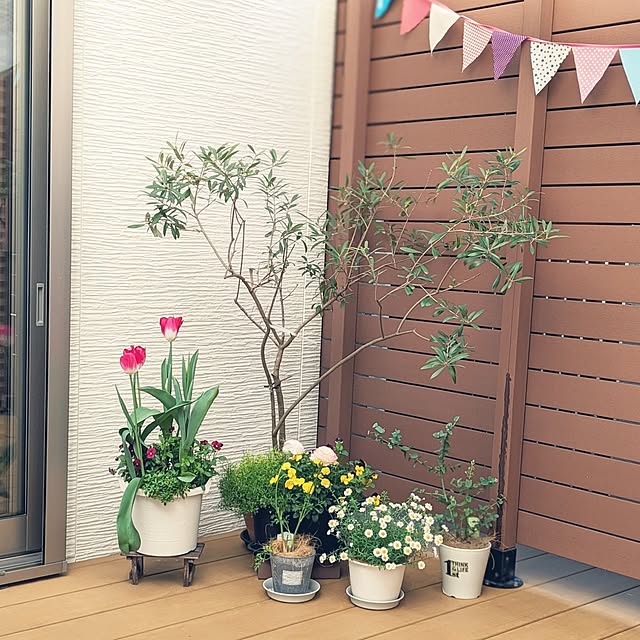 yunさんの実例写真