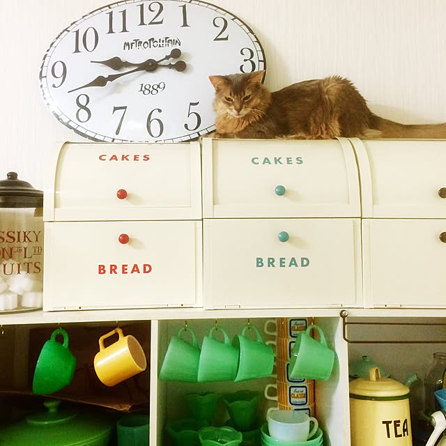 実例写真