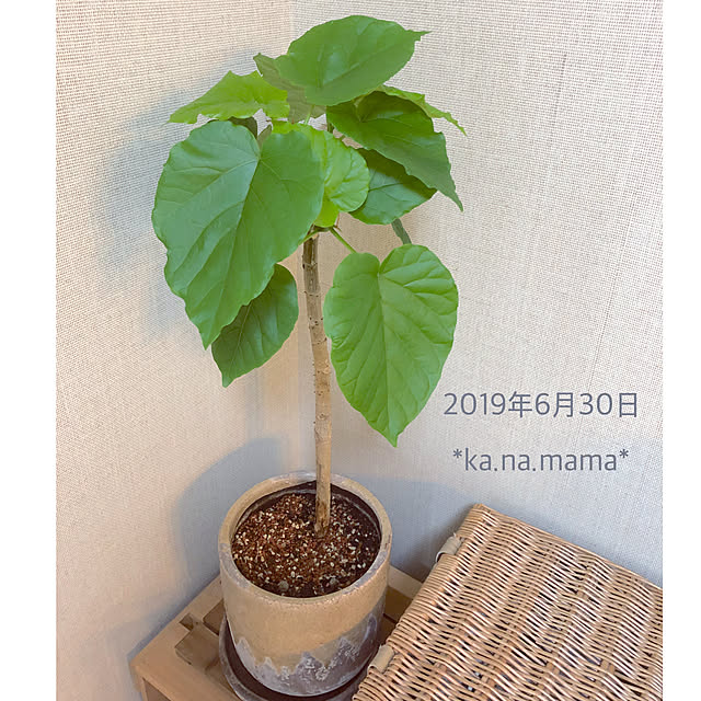 ka.na.mamaさんの実例写真