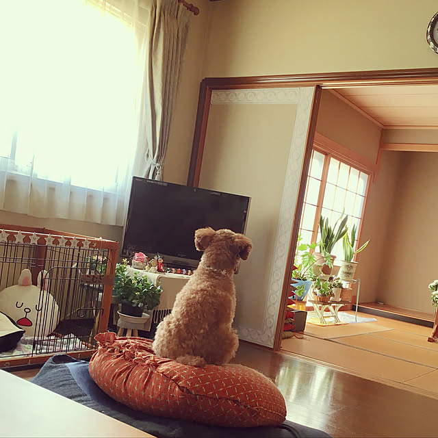 MIYUさんの実例写真
