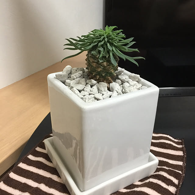 yukoさんの実例写真