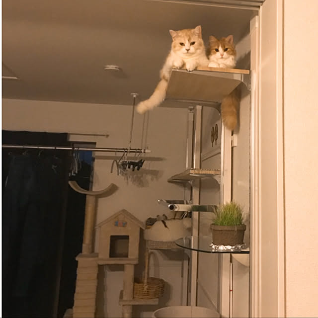 H.Tさんの実例写真