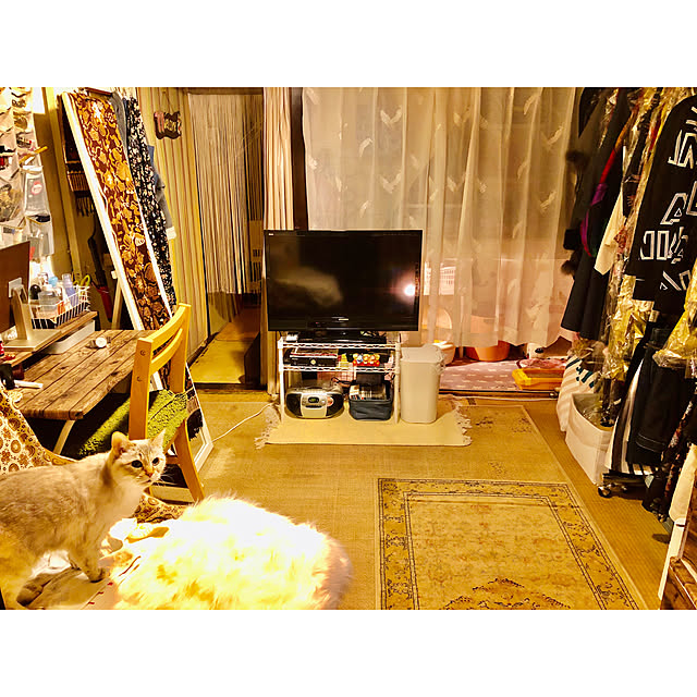 asamiiii1120さんの実例写真