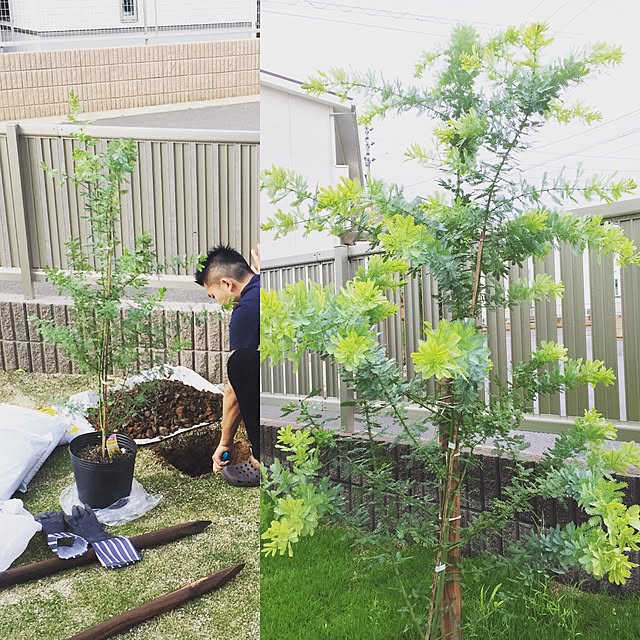 danda.h0707さんの実例写真