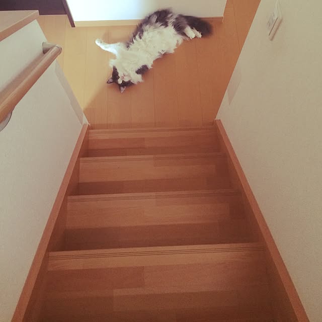yucky_rioさんの実例写真