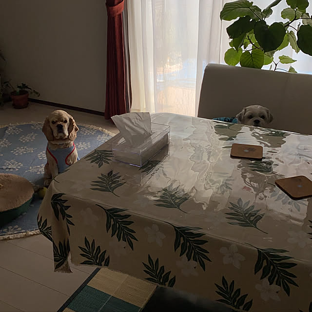 emiさんの実例写真