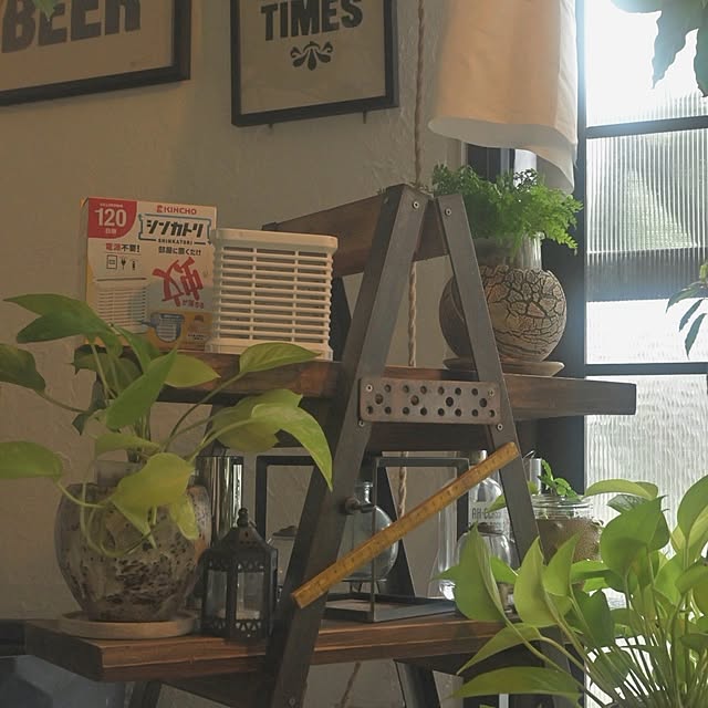 CYNOSさんの実例写真