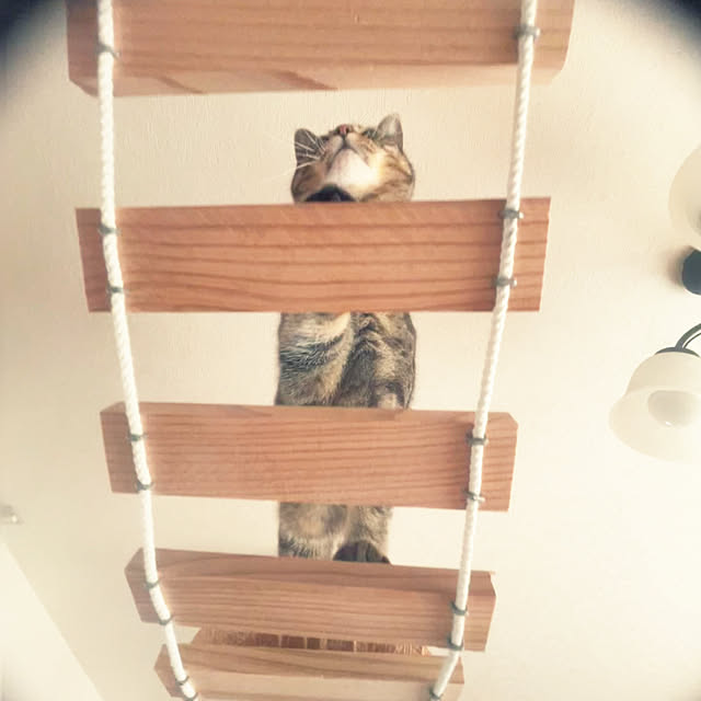 Mさんの部屋