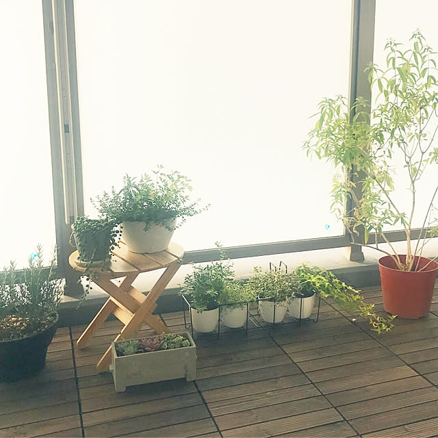 miiiさんの実例写真
