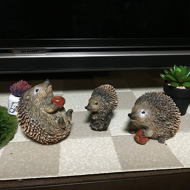 sakuranboさんの実例写真
