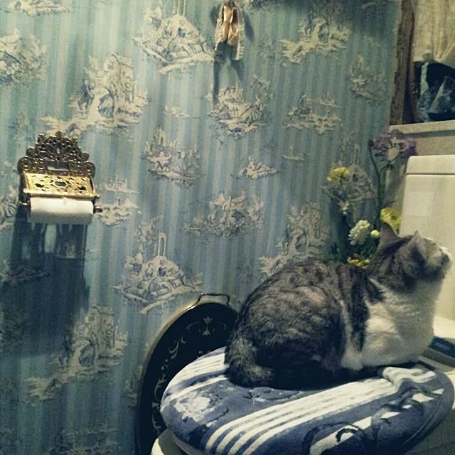 emmyyさんの実例写真