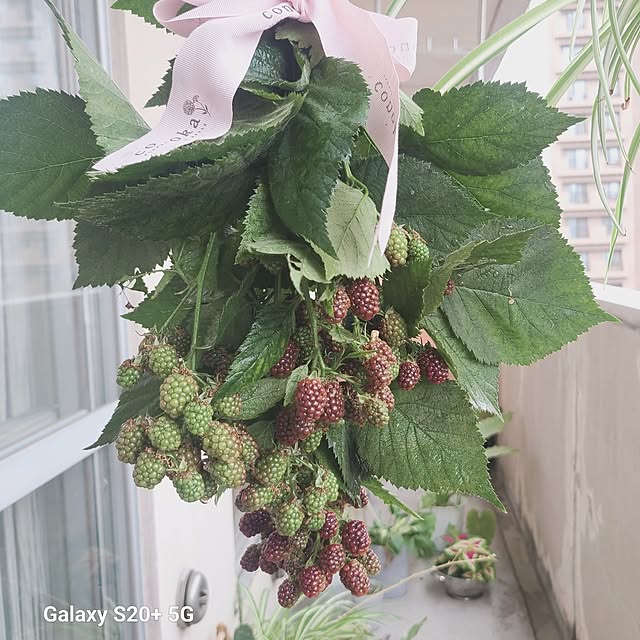 monnさんの部屋