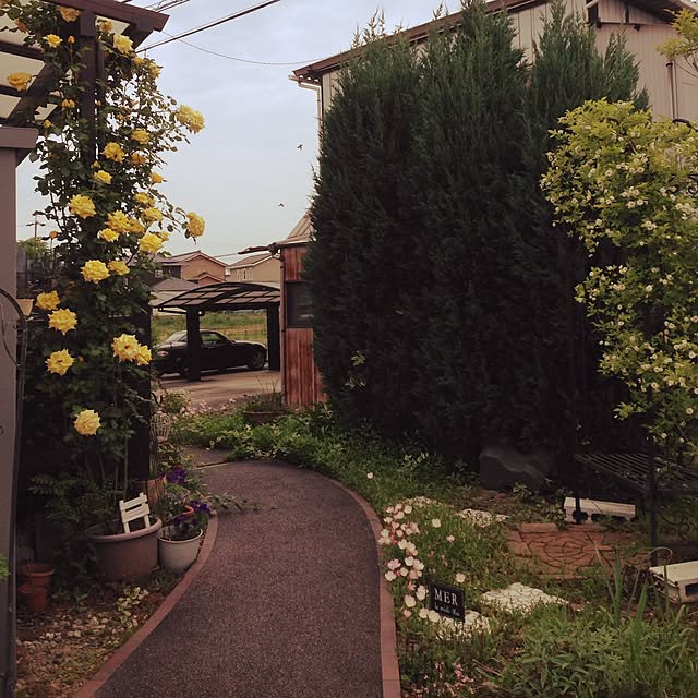 実例写真