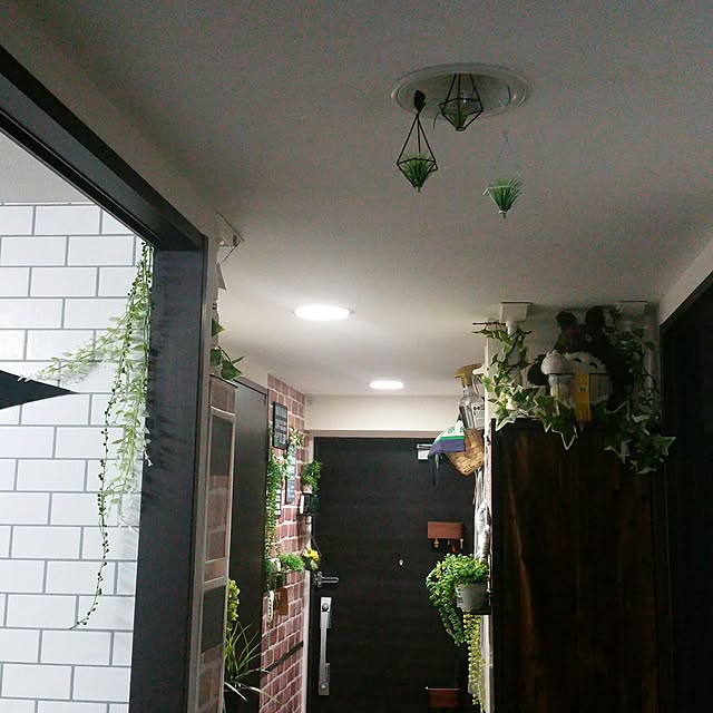 L_S_Jさんの実例写真