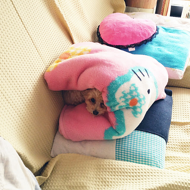 kikiさんの実例写真