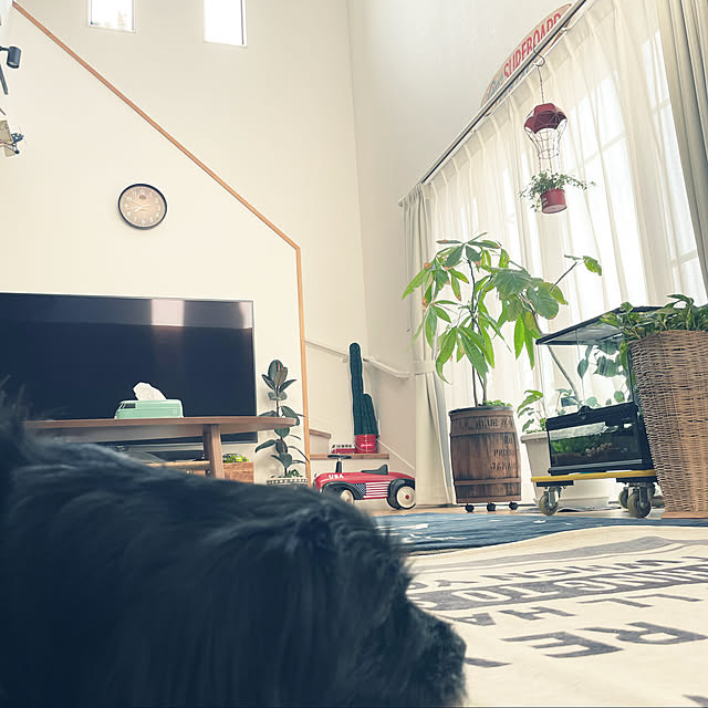 marinkoさんの実例写真