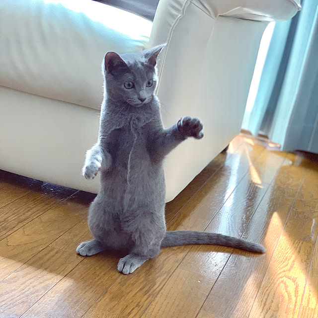 kyonさんの実例写真
