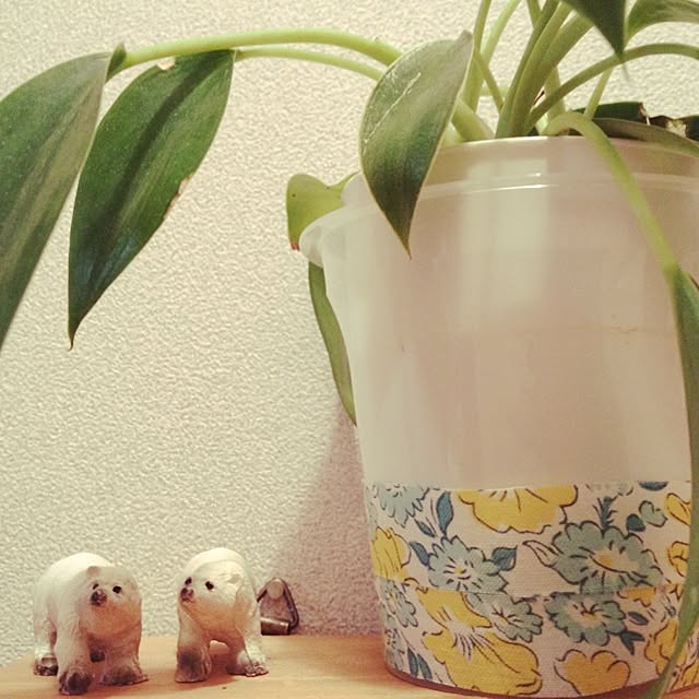 Ayakaさんの実例写真