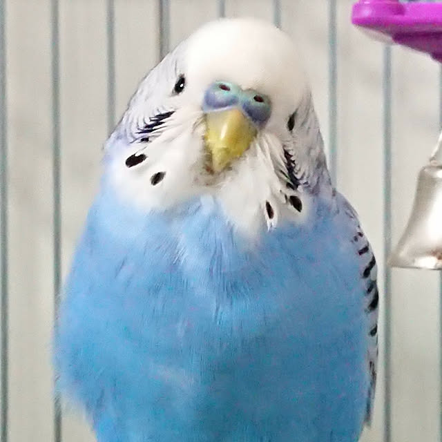 karinさんの実例写真