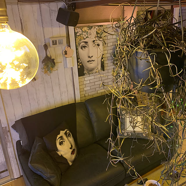 一人暮らし/部屋全体のインテリア実例 - 2019-04-10 19:30:18